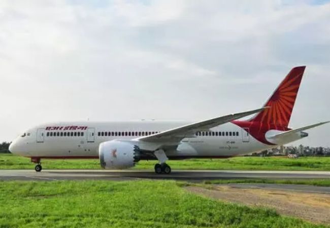 Hair in food: HC imposes Rs 35,000 on Air India for negligence